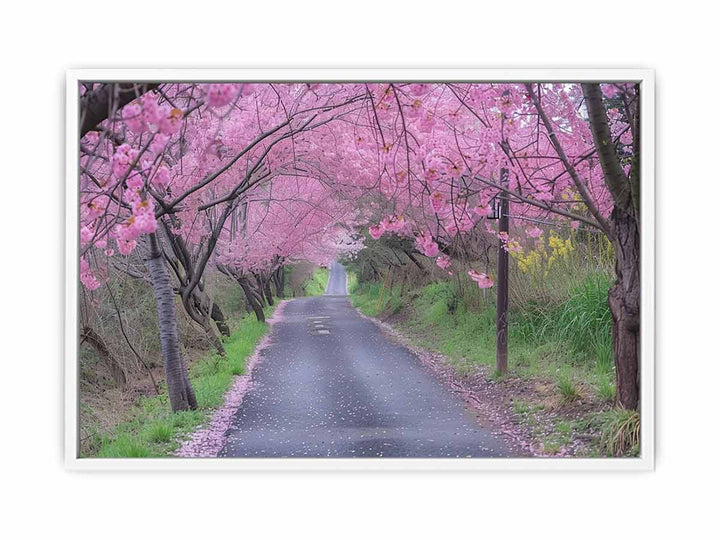 Cherry Blossom Path Framed Print