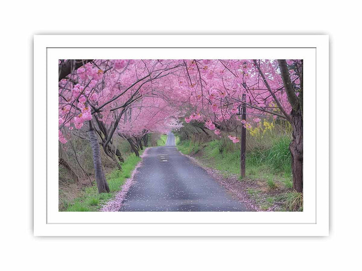Cherry Blossom Path Streched canvas