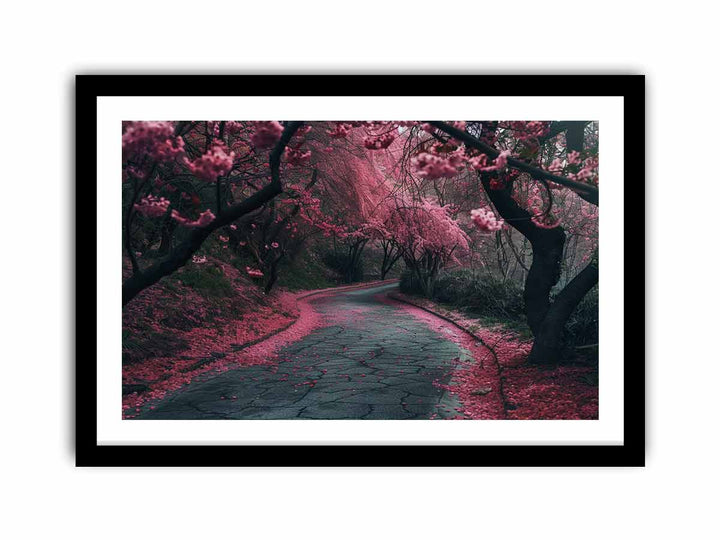 Cherry Blossom Path  Art Print