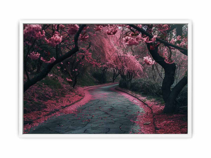 Cherry Blossom Path Framed Print