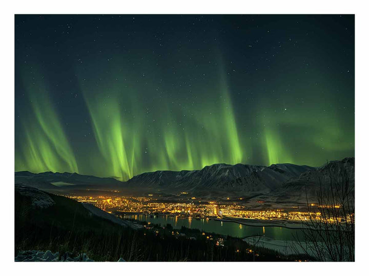 Northern Lights 