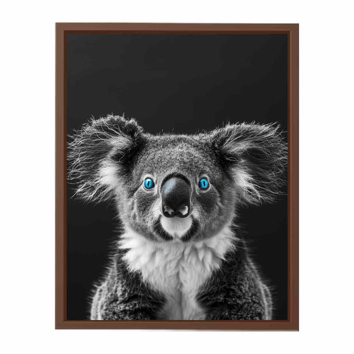 Koala  Poster