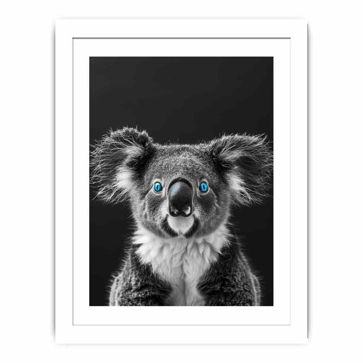 Koala Streched canvas