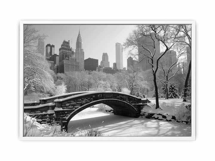 New York Central Park Framed Print