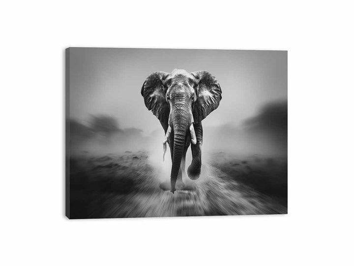 Elepahant Running Canvas Print