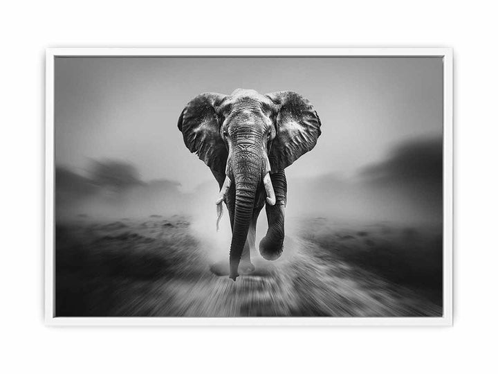 Elepahant Running Framed Print