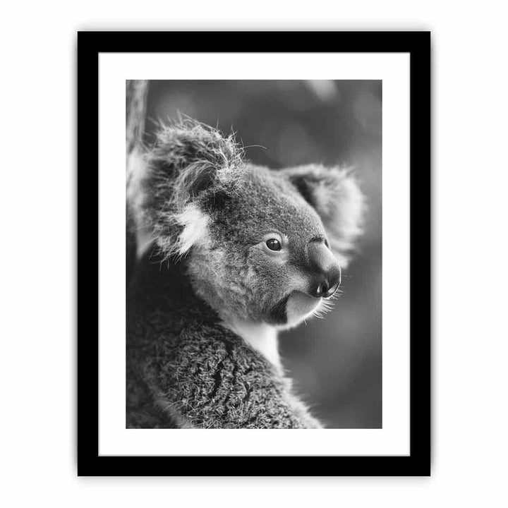 Baby Koala  Art Print