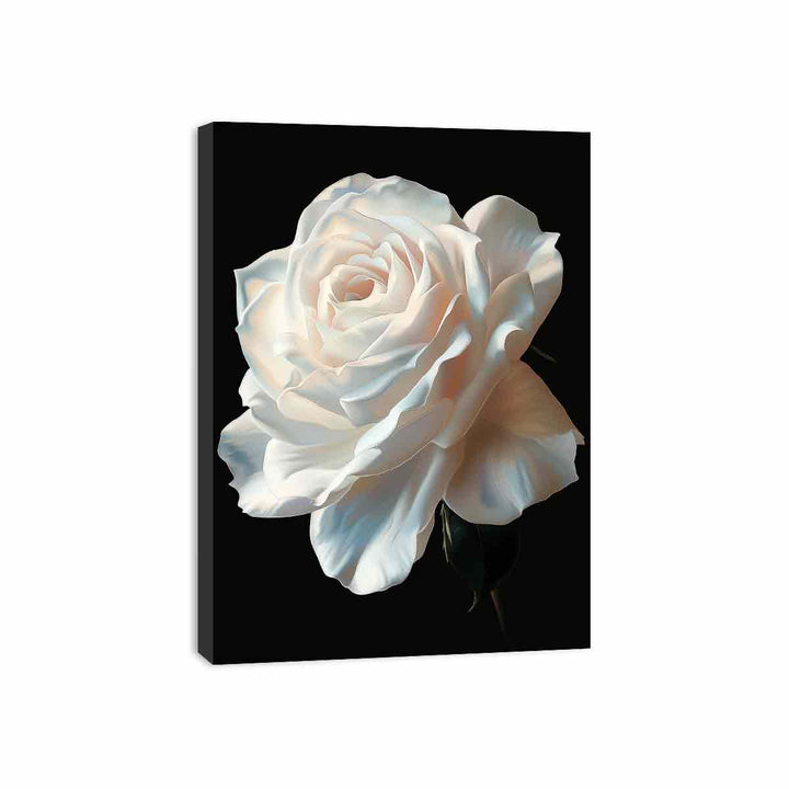 Rose Canvas Print