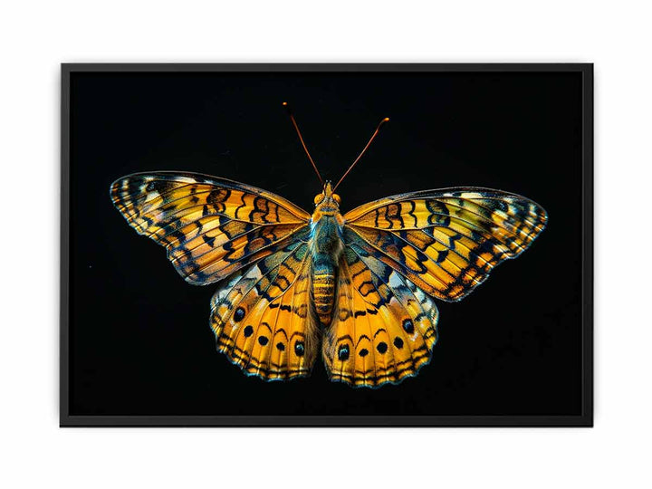 Butterfly  Painting