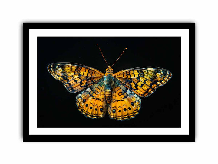 Butterfly  Art Print