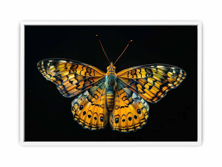 Butterfly Framed Print