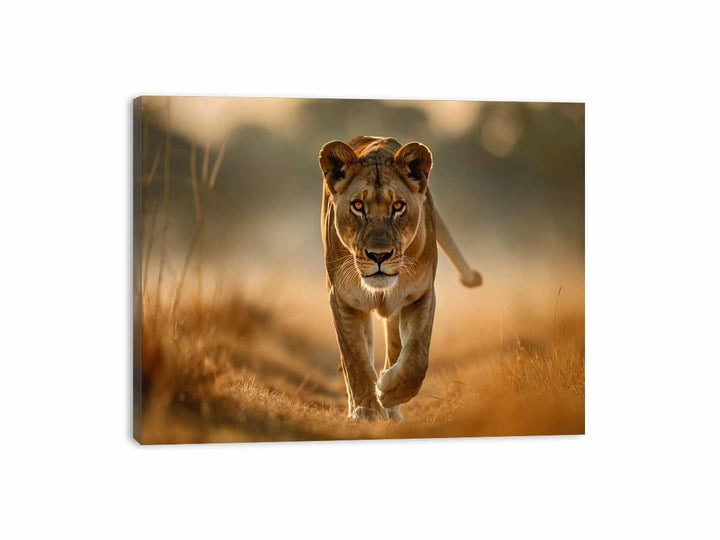 Lioness Canvas Print