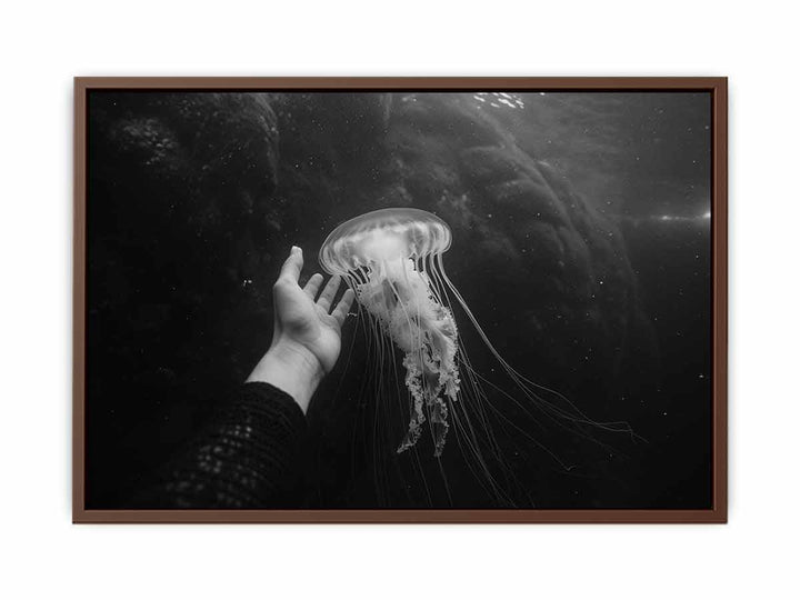 Jellyfish  Poster