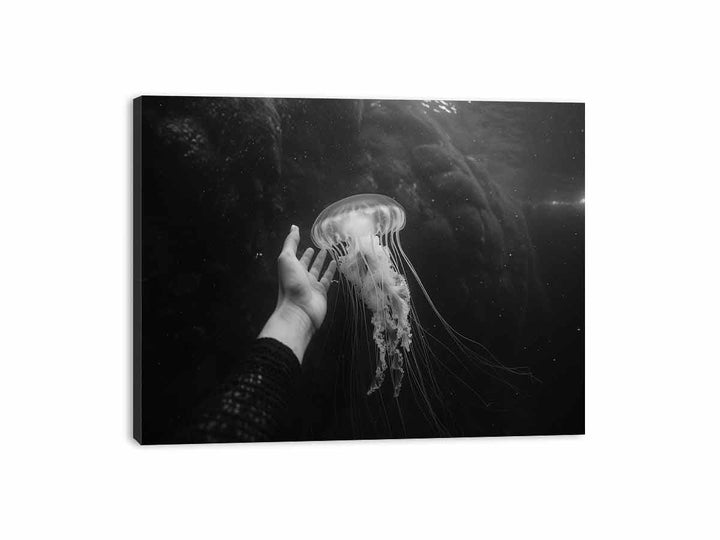 Jellyfish Canvas Print