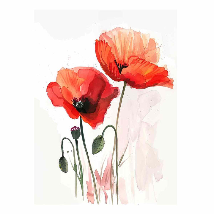 Watercolor Poppies 