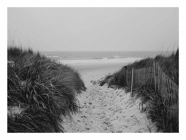 Beach Path