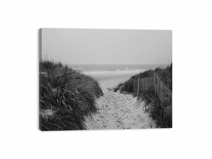 Beach Path Canvas Print