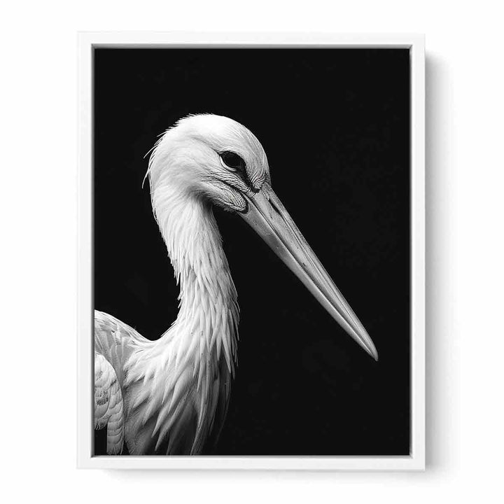 Stork Framed Print