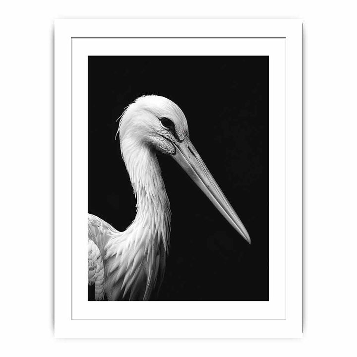 Stork Streched canvas