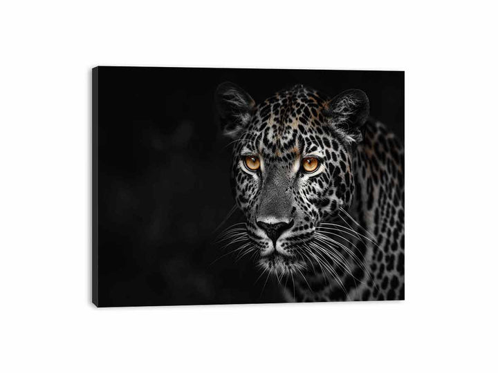 Leopard in Dark Canvas Print