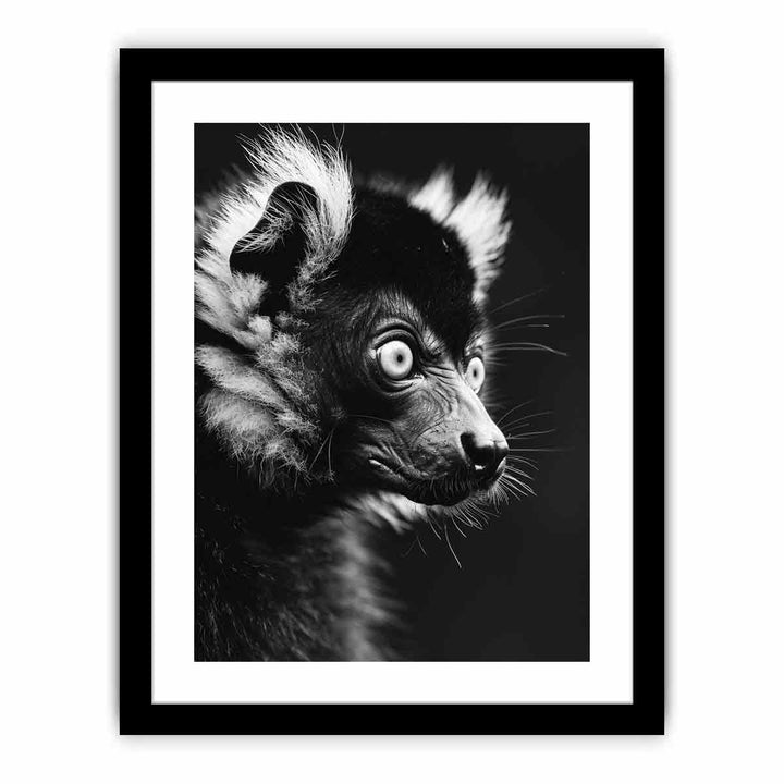 Lemur  Art Print