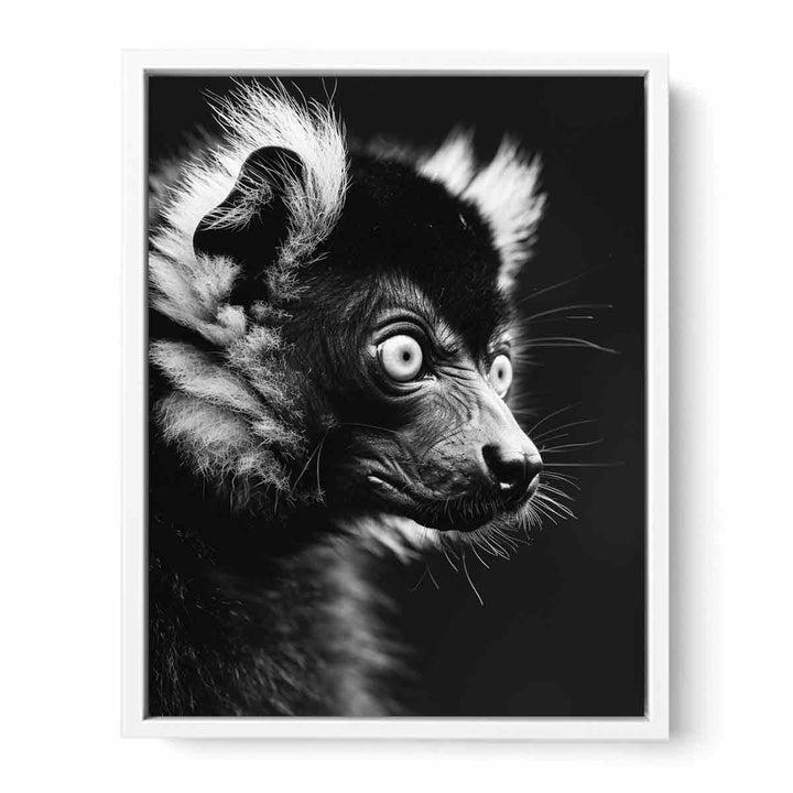 Lemur Framed Print