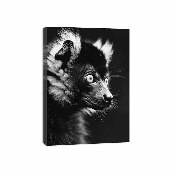 Lemur Canvas Print