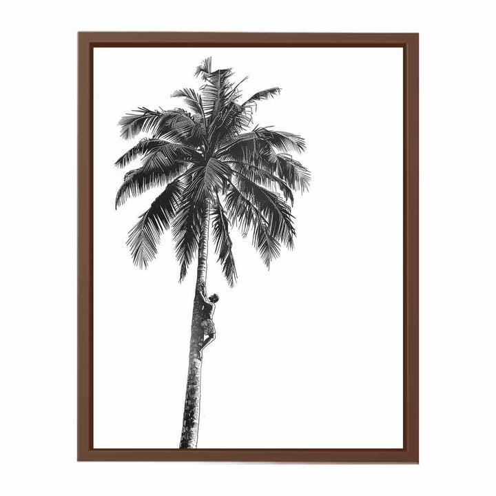 Coconut Tree   Poster