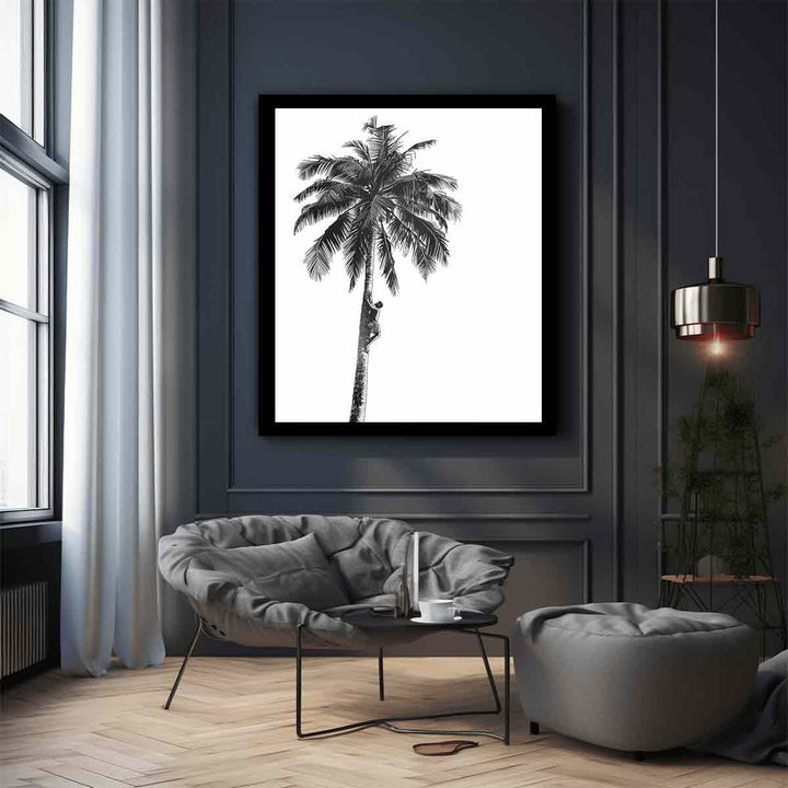 Coconut Tree  
