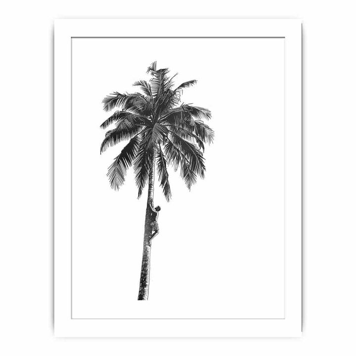 Coconut Tree  Streched canvas