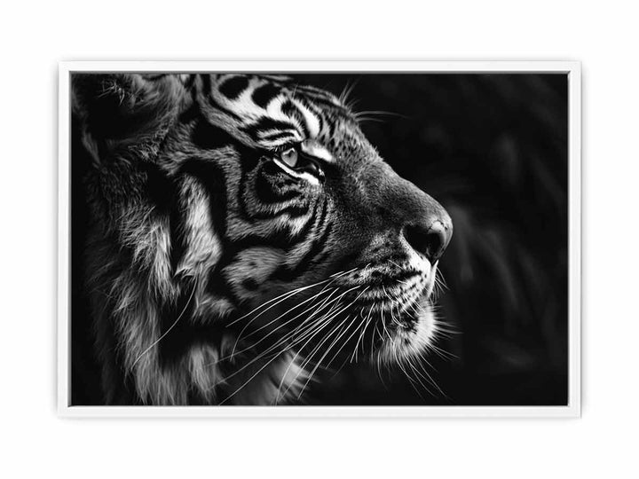 Lion  Framed Print