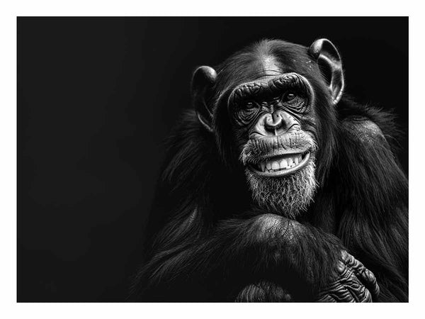 Ape Art
