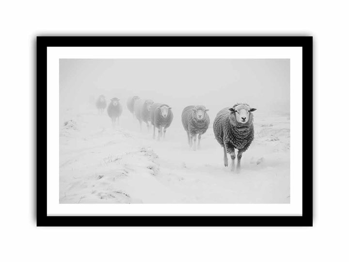 Sheeps in Field  Art Print