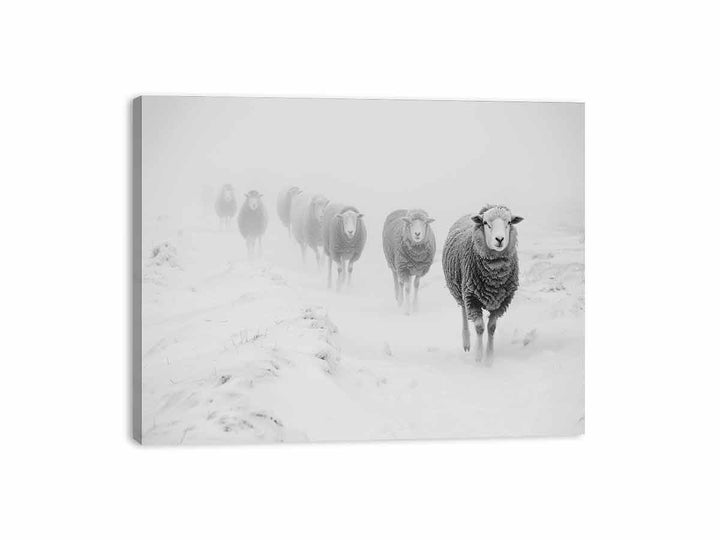 Sheeps in Field Canvas Print