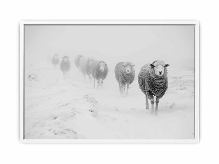 Sheeps in Field Framed Print
