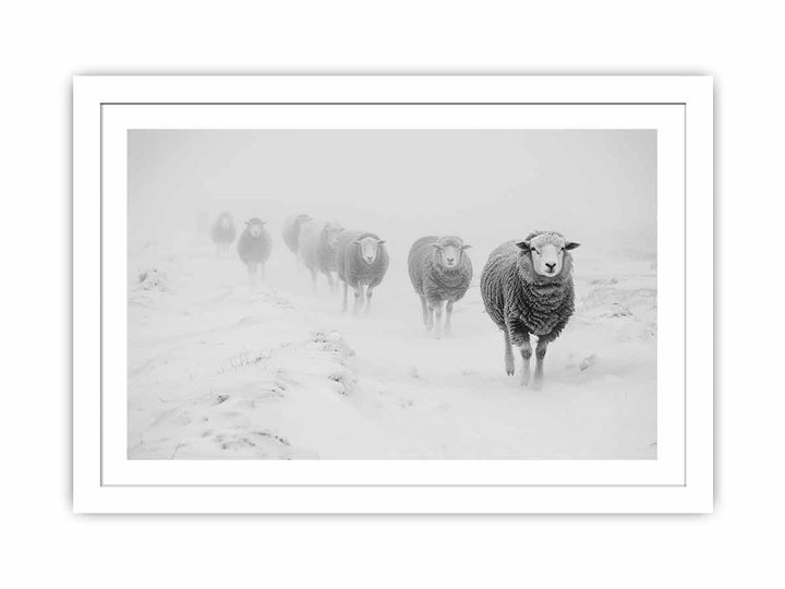 Sheeps in Field Streched canvas