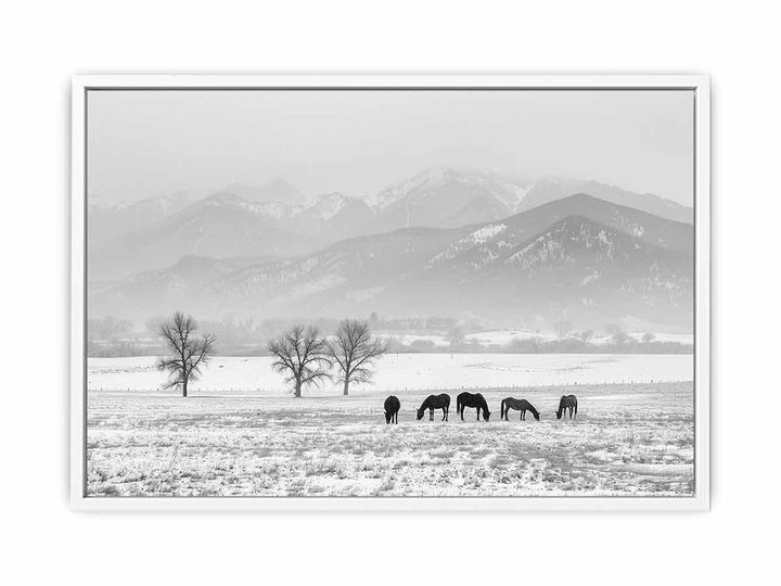 Open Filed Framed Print