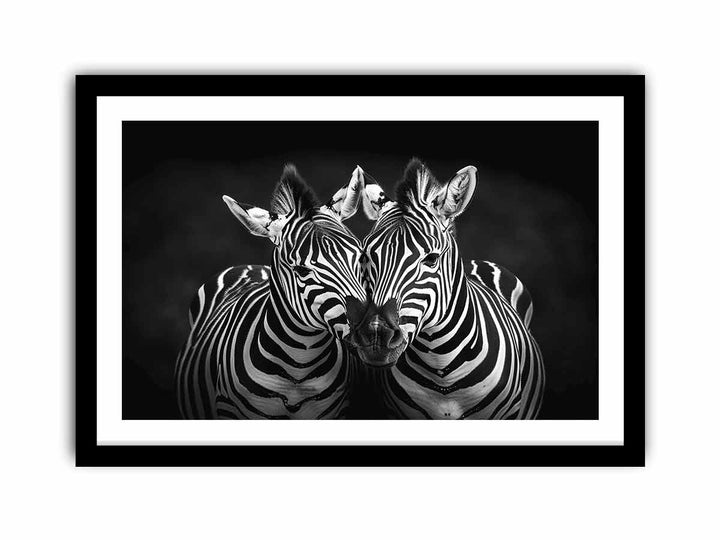 Two Zebras   Art Print