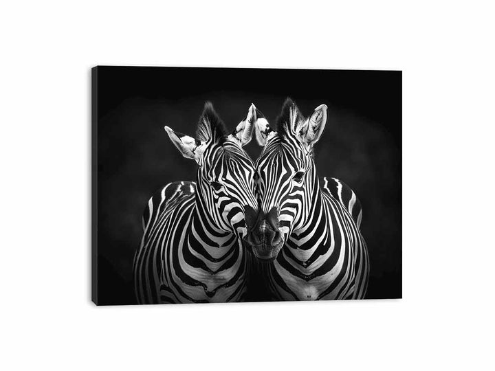 Two Zebras  Canvas Print