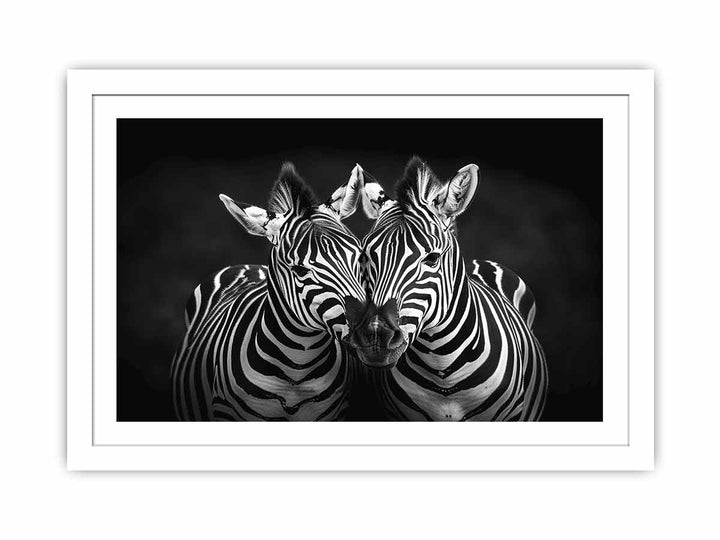 Two Zebras  Streched canvas