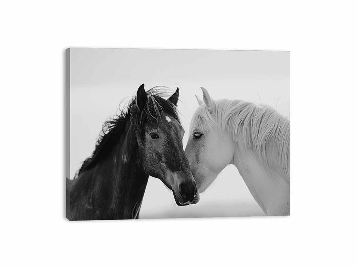 Horses Communicate  Canvas Print