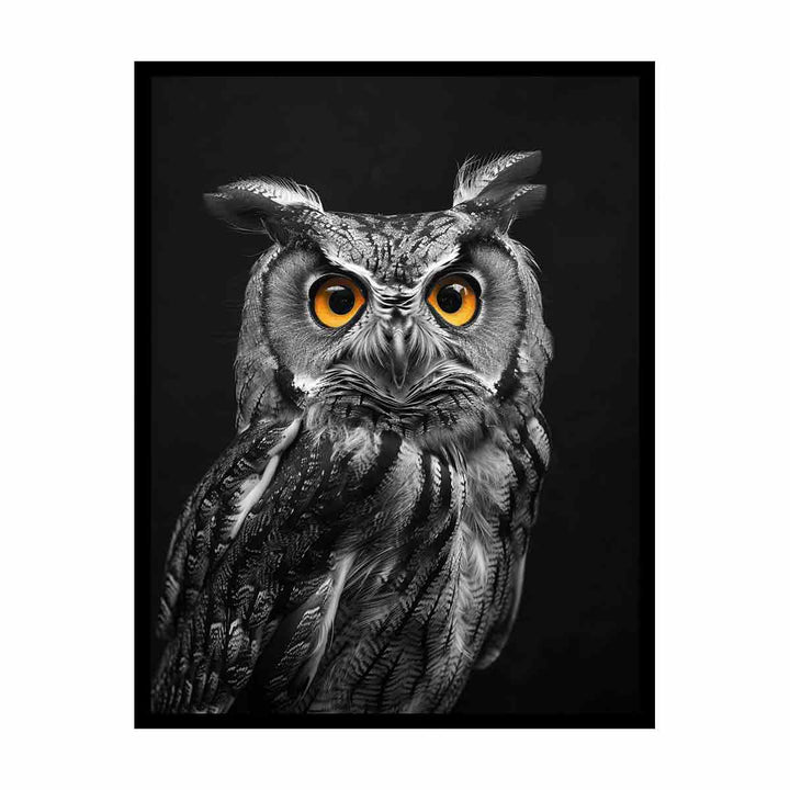 Owl  Painting
