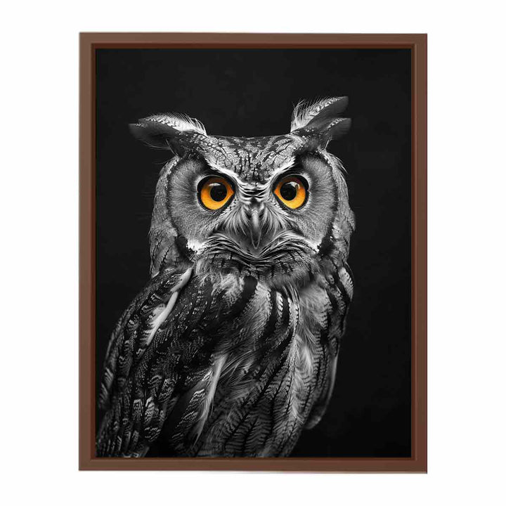 Owl  Poster