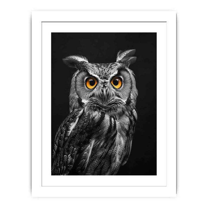 Owl Streched canvas