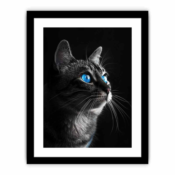 Cat   Art Print