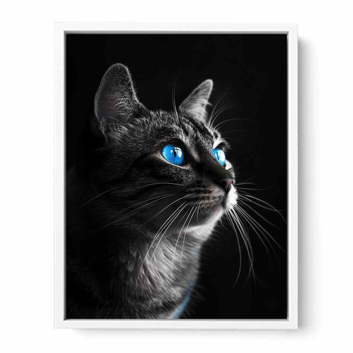 Cat  Framed Print