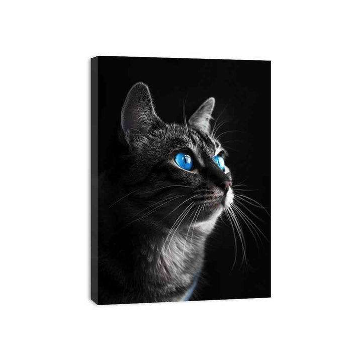 Cat  Canvas Print