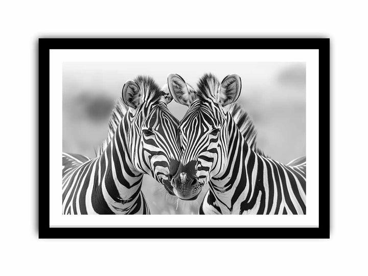 Two Zebras  Art Print