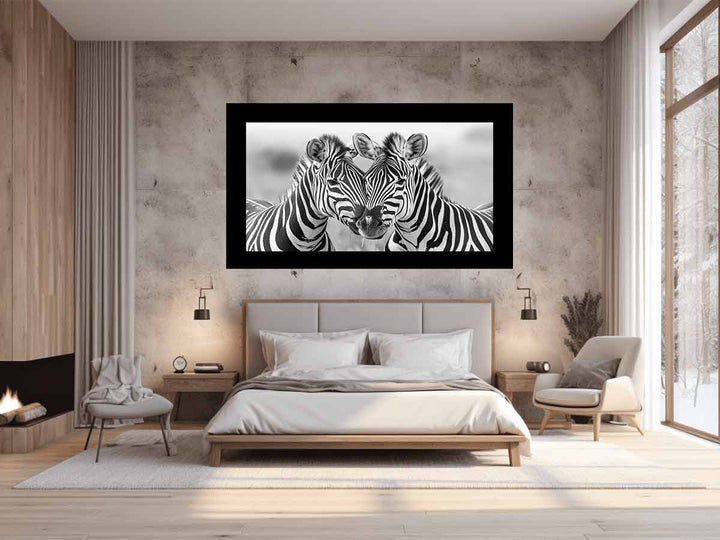 Two Zebras 