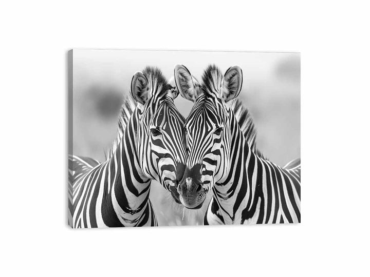 Two Zebras Canvas Print